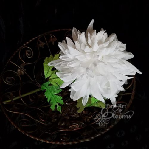 1Chrysanthemum