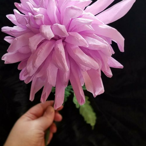20180217_153933-scaled