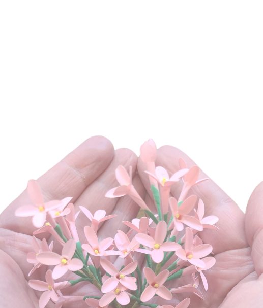 lilac lilac